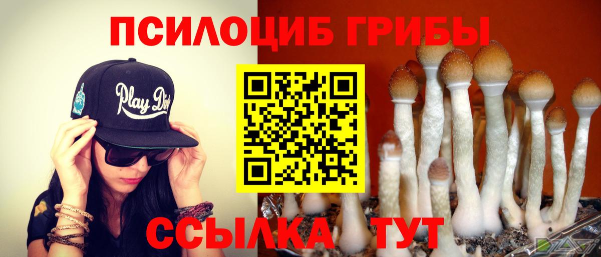 Галлюциногенные грибы Magic Shrooms  Галлюциногенные грибы Psilocybine cubensis  Тамбов  Вход с VPN 
